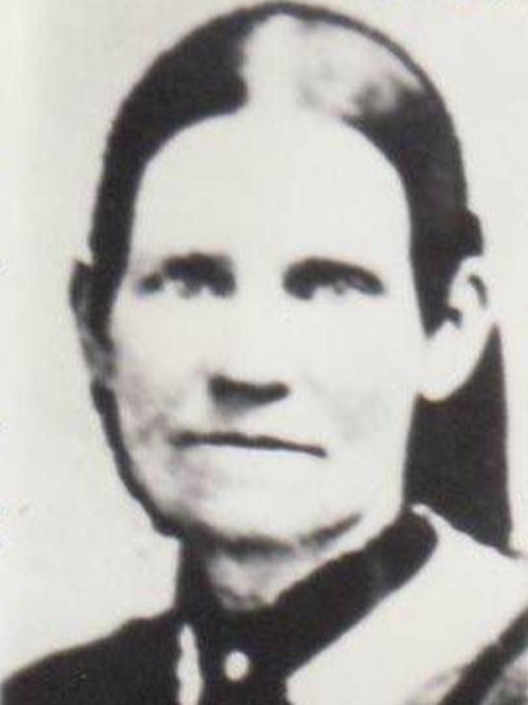 Helen Moffett Curtis (1821 - 1871) Profile